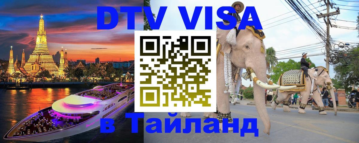Оформление DTV визы под ключ: стоимость и тарифы, только загранпаспорт - Бердск  08.12.2025 